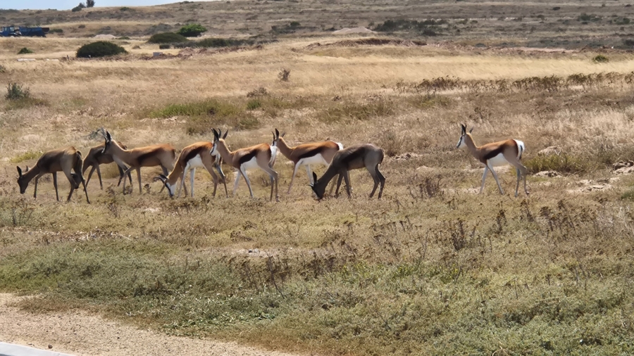 0 Bedroom Property for Sale in Langebaan Country Estate Western Cape